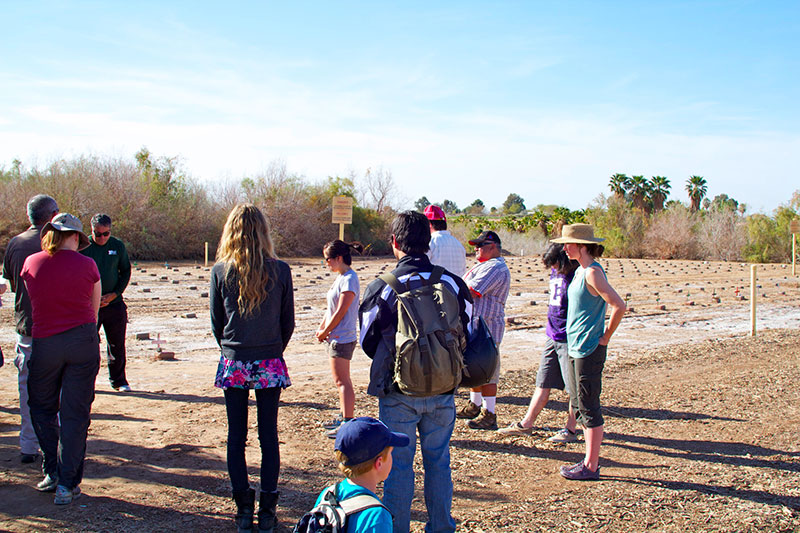 Environment-&-Development-field-trip-to Holtville Cemetery
